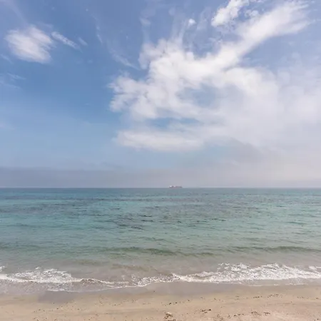 Capitan Trinchetto Risacca *